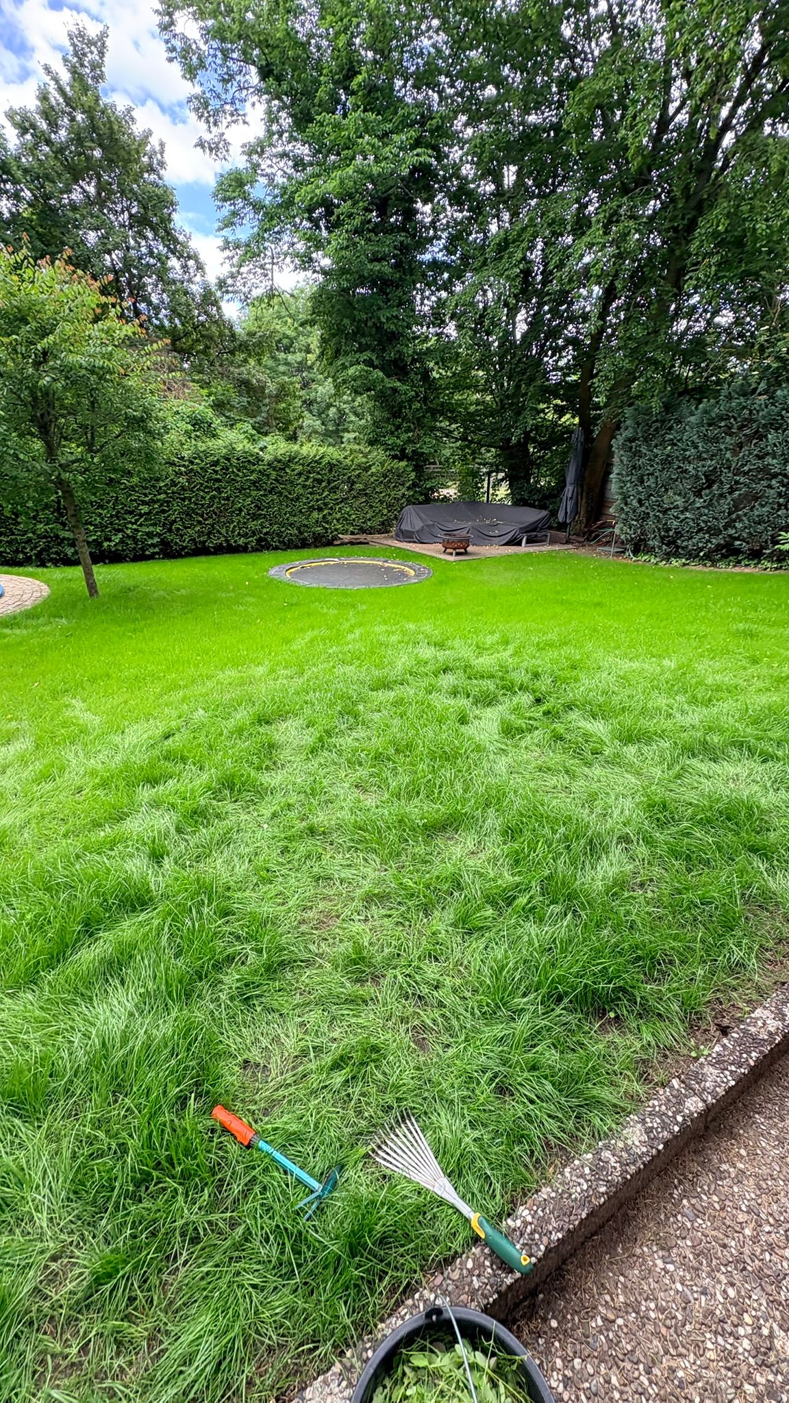 Gepflegter Garten nach der Pflege durch Gebäudeservice FH