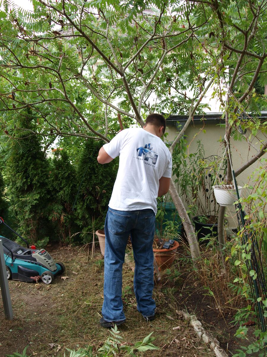 Gartenpflegearbeiten an Gehölzen und Beeten